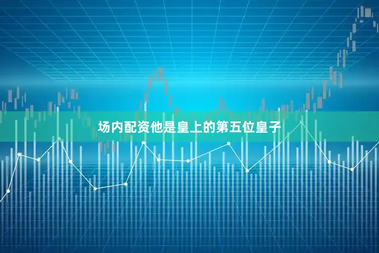 场内配资他是皇上的第五位皇子